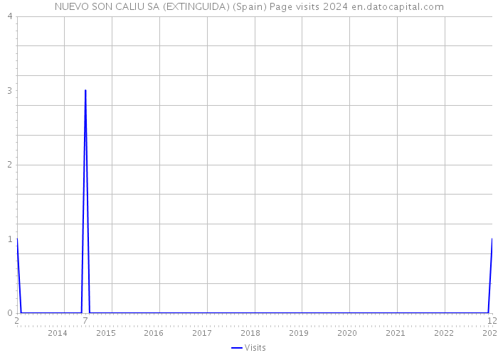 NUEVO SON CALIU SA (EXTINGUIDA) (Spain) Page visits 2024 