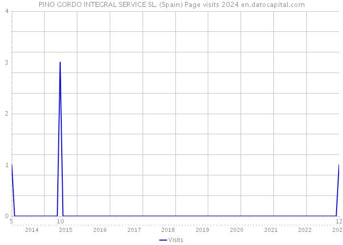 PINO GORDO INTEGRAL SERVICE SL. (Spain) Page visits 2024 