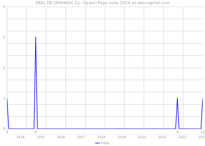 REAL DE GRANADA S.L. (Spain) Page visits 2024 