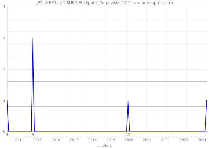 JESUS BERNAD BURRIEL (Spain) Page visits 2024 