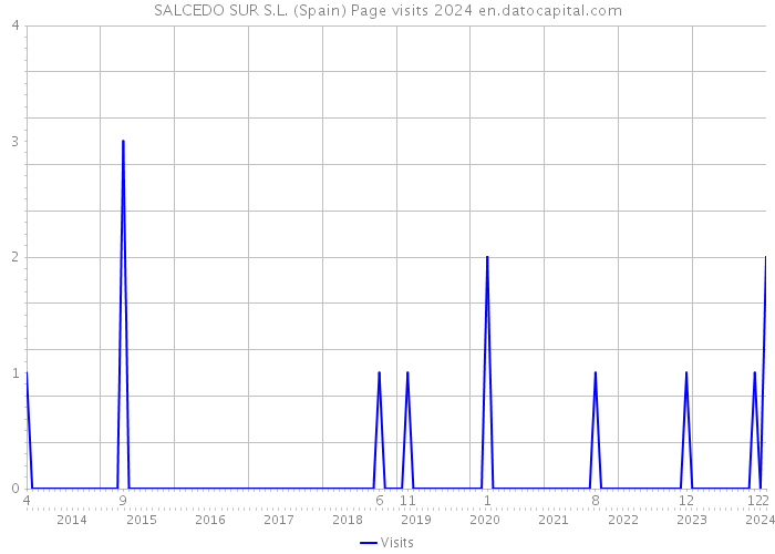 SALCEDO SUR S.L. (Spain) Page visits 2024 