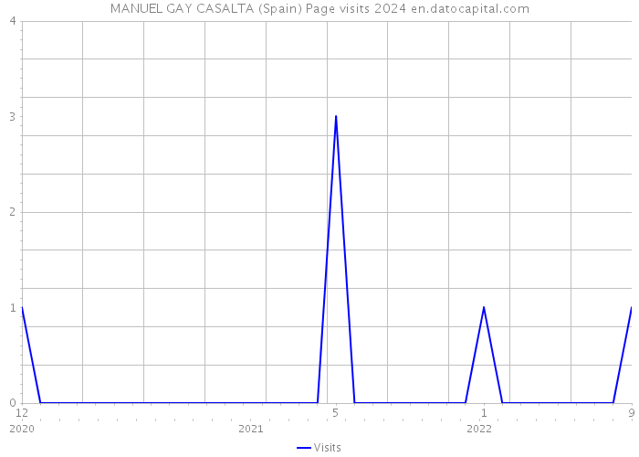 MANUEL GAY CASALTA (Spain) Page visits 2024 