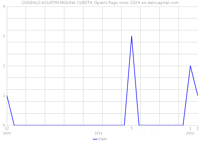 GONZALO AGUSTIN MOLINA CUESTA (Spain) Page visits 2024 