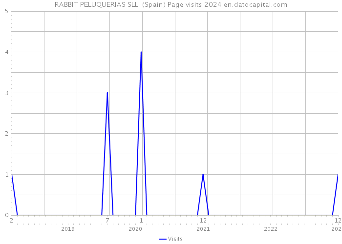 RABBIT PELUQUERIAS SLL. (Spain) Page visits 2024 