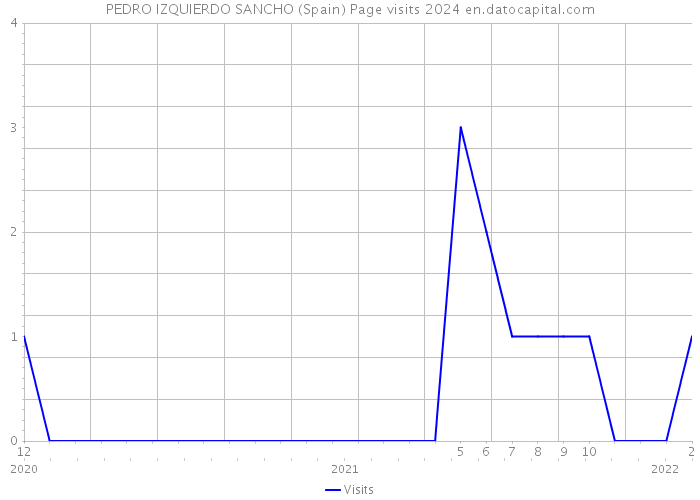 PEDRO IZQUIERDO SANCHO (Spain) Page visits 2024 