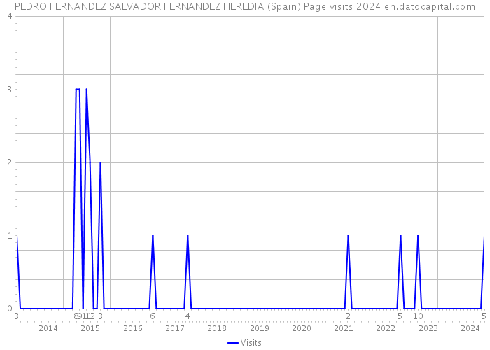 PEDRO FERNANDEZ SALVADOR FERNANDEZ HEREDIA (Spain) Page visits 2024 
