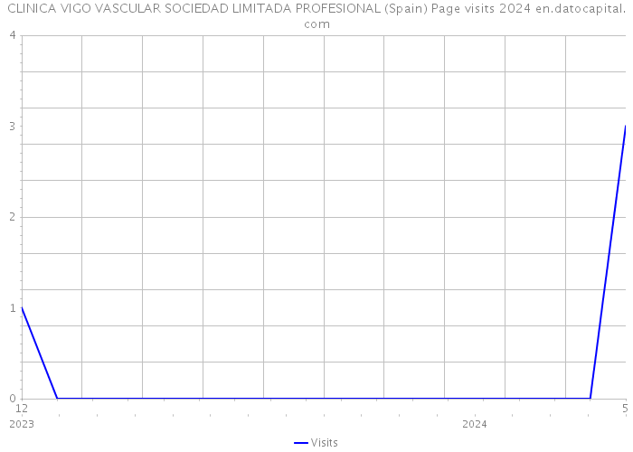 CLINICA VIGO VASCULAR SOCIEDAD LIMITADA PROFESIONAL (Spain) Page visits 2024 