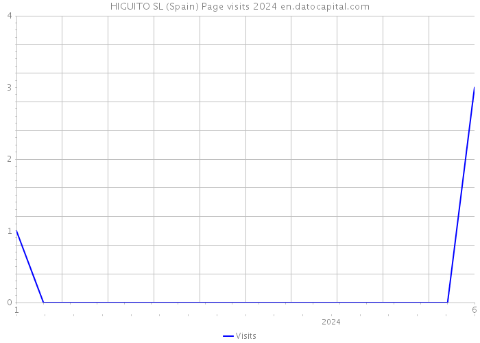 HIGUITO SL (Spain) Page visits 2024 