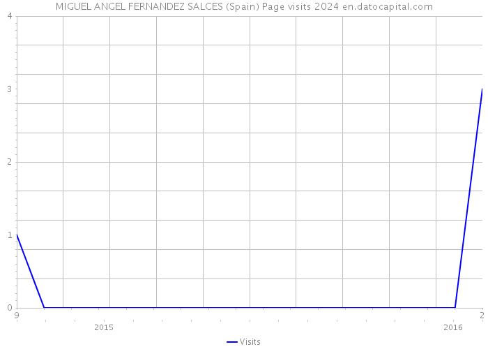 MIGUEL ANGEL FERNANDEZ SALCES (Spain) Page visits 2024 