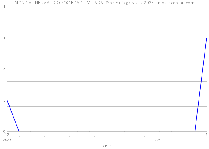 MONDIAL NEUMATICO SOCIEDAD LIMITADA. (Spain) Page visits 2024 