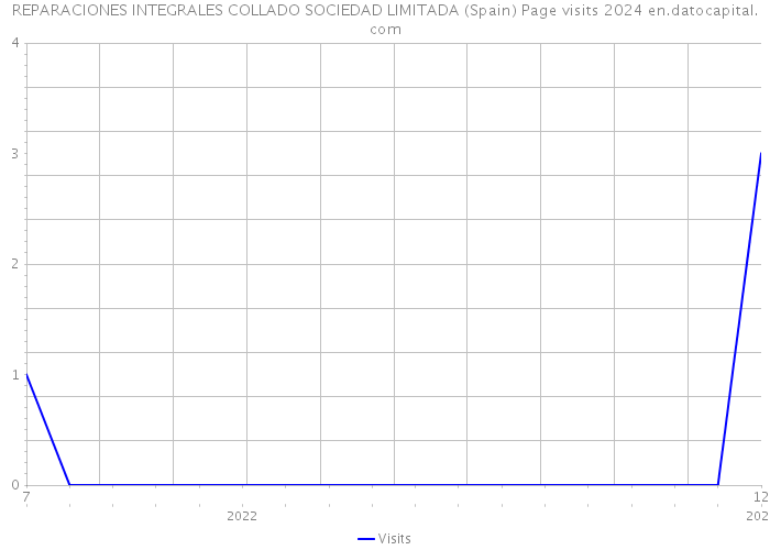 REPARACIONES INTEGRALES COLLADO SOCIEDAD LIMITADA (Spain) Page visits 2024 