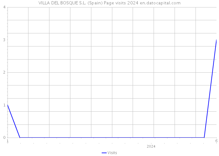 VILLA DEL BOSQUE S.L. (Spain) Page visits 2024 