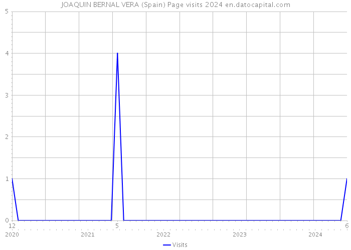 JOAQUIN BERNAL VERA (Spain) Page visits 2024 