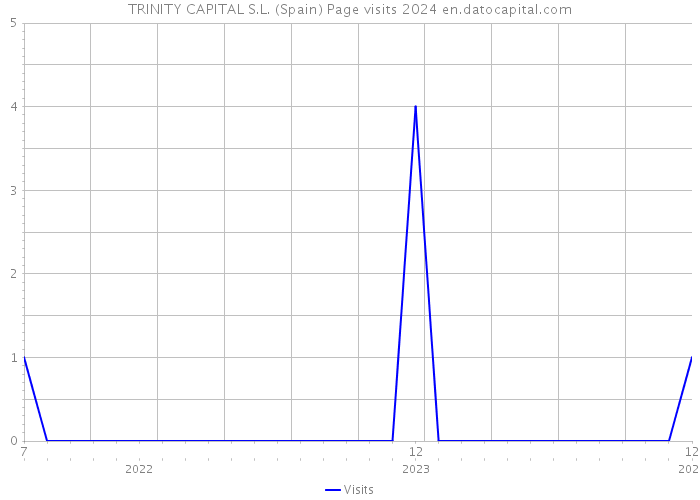 TRINITY CAPITAL S.L. (Spain) Page visits 2024 