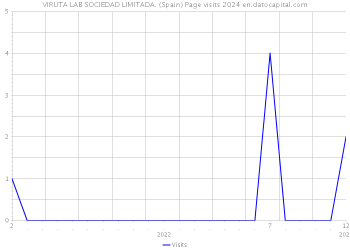 VIRUTA LAB SOCIEDAD LIMITADA. (Spain) Page visits 2024 