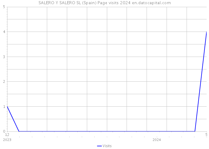 SALERO Y SALERO SL (Spain) Page visits 2024 