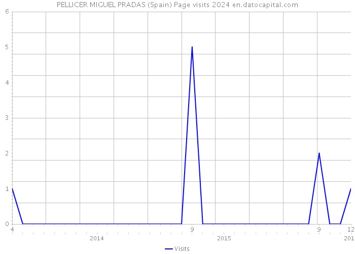 PELLICER MIGUEL PRADAS (Spain) Page visits 2024 
