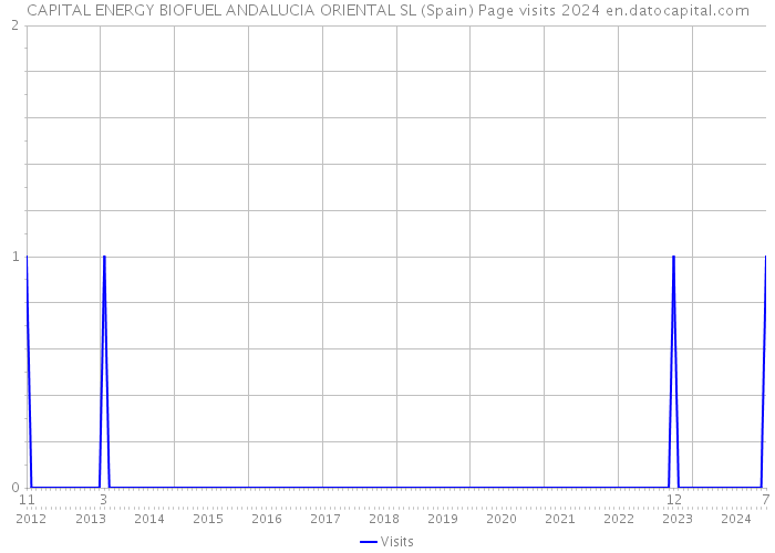 CAPITAL ENERGY BIOFUEL ANDALUCIA ORIENTAL SL (Spain) Page visits 2024 