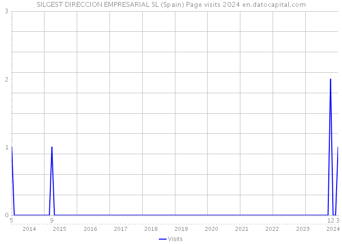 SILGEST DIRECCION EMPRESARIAL SL (Spain) Page visits 2024 