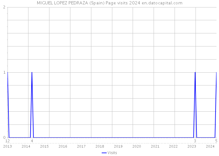 MIGUEL LOPEZ PEDRAZA (Spain) Page visits 2024 