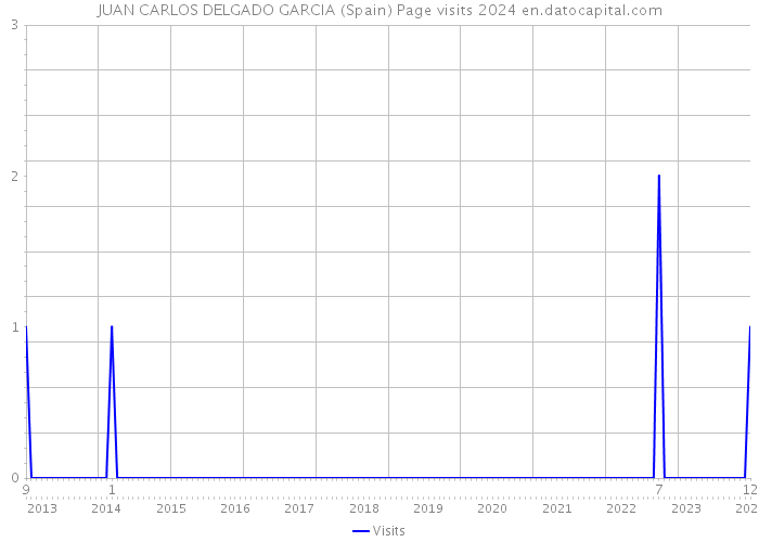 JUAN CARLOS DELGADO GARCIA (Spain) Page visits 2024 