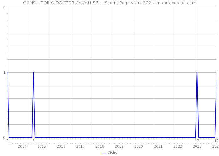 CONSULTORIO DOCTOR CAVALLE SL. (Spain) Page visits 2024 