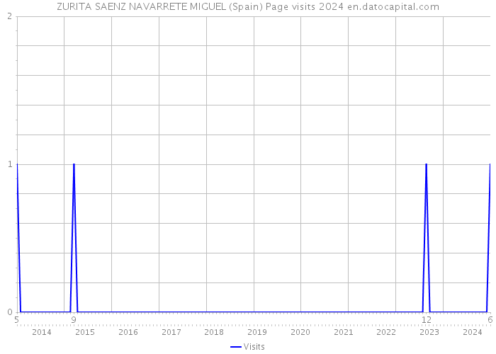 ZURITA SAENZ NAVARRETE MIGUEL (Spain) Page visits 2024 