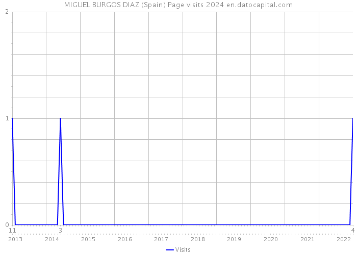 MIGUEL BURGOS DIAZ (Spain) Page visits 2024 