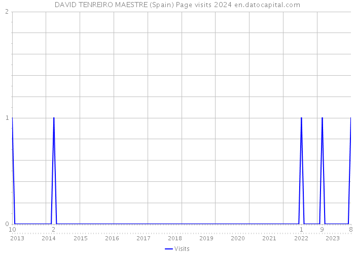 DAVID TENREIRO MAESTRE (Spain) Page visits 2024 