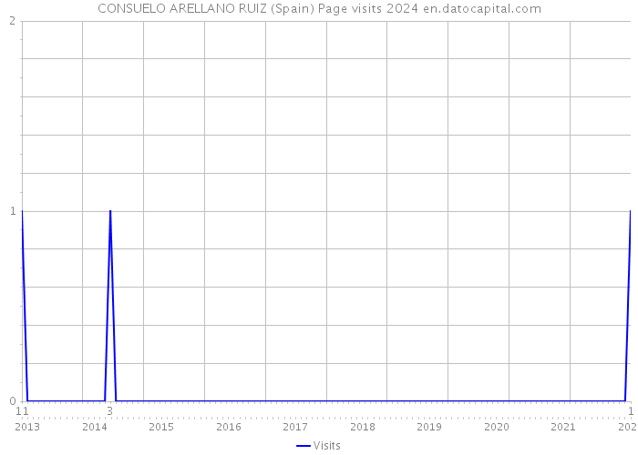 CONSUELO ARELLANO RUIZ (Spain) Page visits 2024 