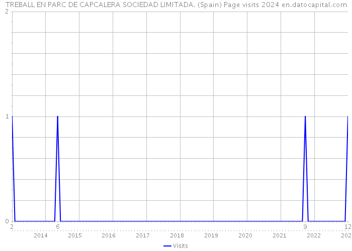 TREBALL EN PARC DE CAPCALERA SOCIEDAD LIMITADA. (Spain) Page visits 2024 