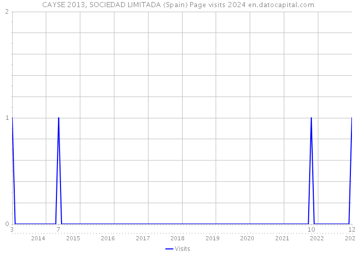 CAYSE 2013, SOCIEDAD LIMITADA (Spain) Page visits 2024 