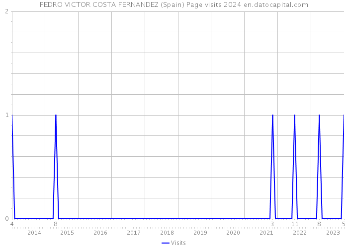 PEDRO VICTOR COSTA FERNANDEZ (Spain) Page visits 2024 