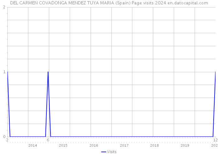 DEL CARMEN COVADONGA MENDEZ TUYA MARIA (Spain) Page visits 2024 