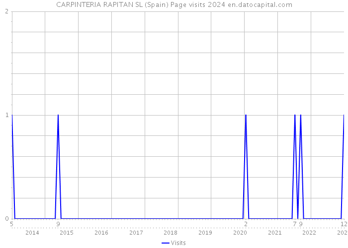 CARPINTERIA RAPITAN SL (Spain) Page visits 2024 