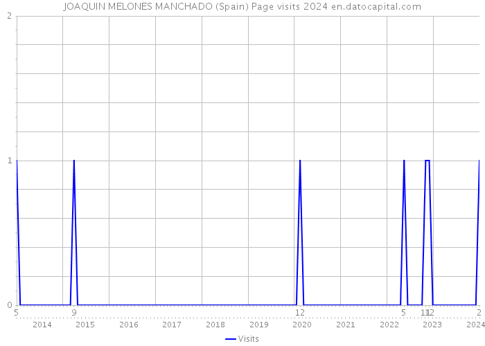 JOAQUIN MELONES MANCHADO (Spain) Page visits 2024 