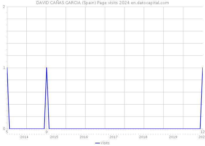 DAVID CAÑAS GARCIA (Spain) Page visits 2024 