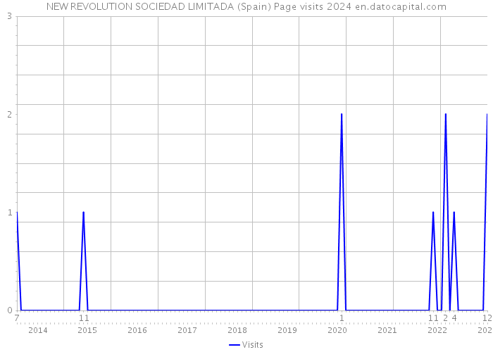 NEW REVOLUTION SOCIEDAD LIMITADA (Spain) Page visits 2024 