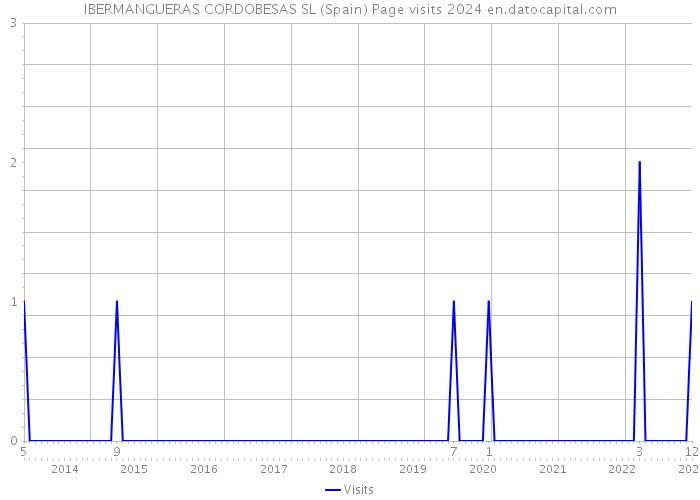 IBERMANGUERAS CORDOBESAS SL (Spain) Page visits 2024 