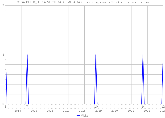 EROGA PELUQUERIA SOCIEDAD LIMITADA (Spain) Page visits 2024 
