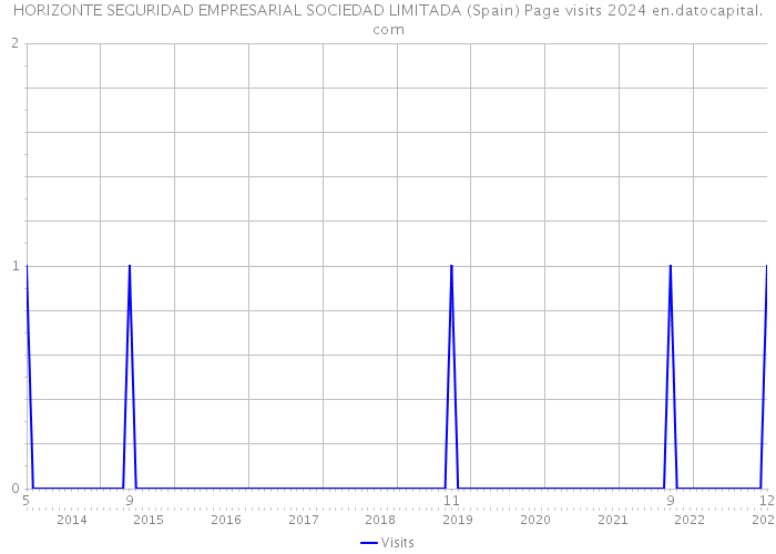HORIZONTE SEGURIDAD EMPRESARIAL SOCIEDAD LIMITADA (Spain) Page visits 2024 