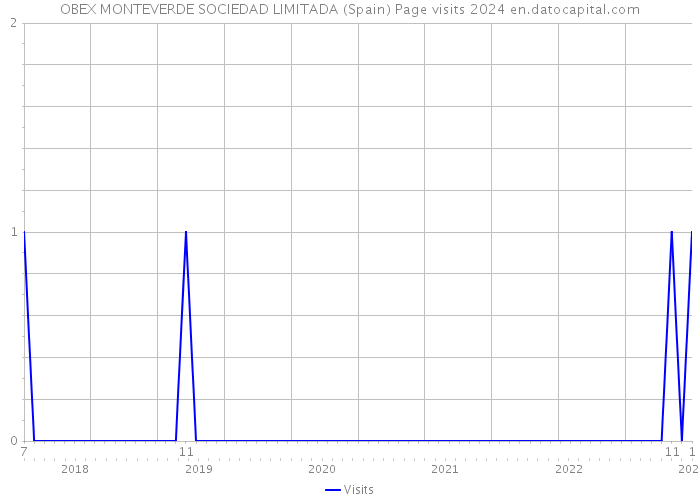 OBEX MONTEVERDE SOCIEDAD LIMITADA (Spain) Page visits 2024 