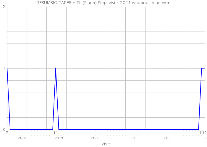 REBUMBIO TAPERIA SL (Spain) Page visits 2024 