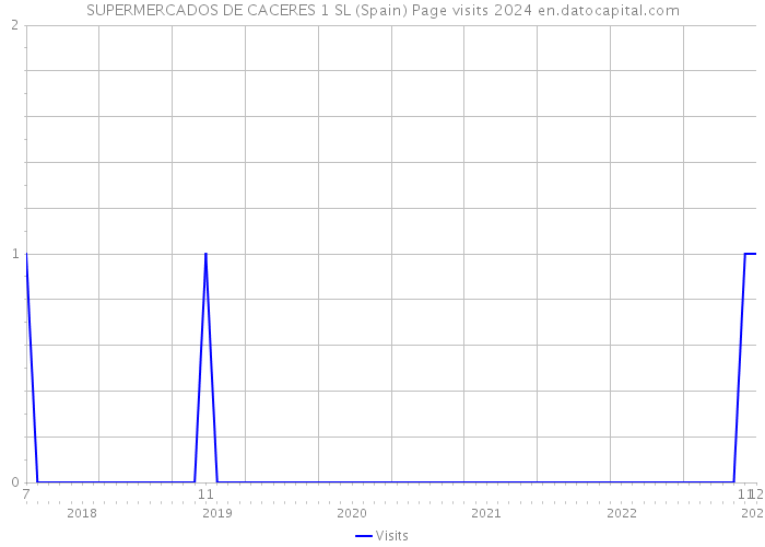 SUPERMERCADOS DE CACERES 1 SL (Spain) Page visits 2024 