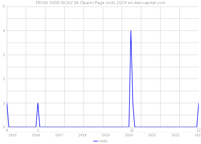 FEVSA 3000 SICAV SA (Spain) Page visits 2024 