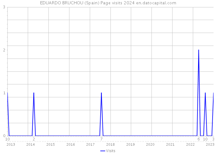 EDUARDO BRUCHOU (Spain) Page visits 2024 