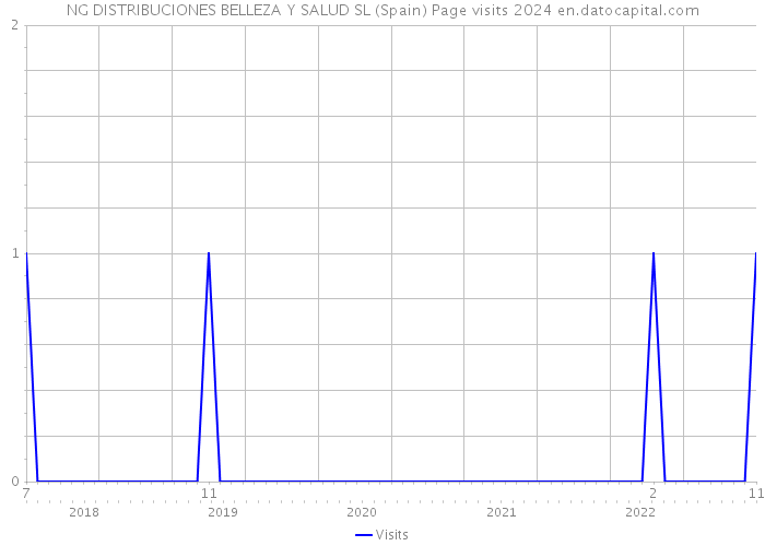 NG DISTRIBUCIONES BELLEZA Y SALUD SL (Spain) Page visits 2024 