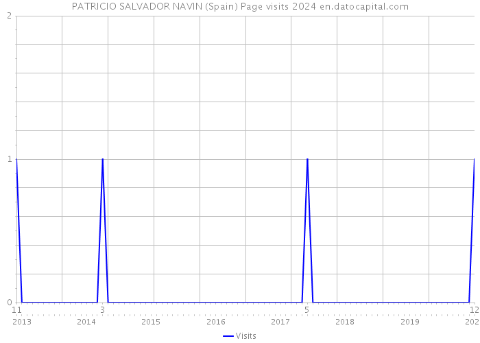 PATRICIO SALVADOR NAVIN (Spain) Page visits 2024 