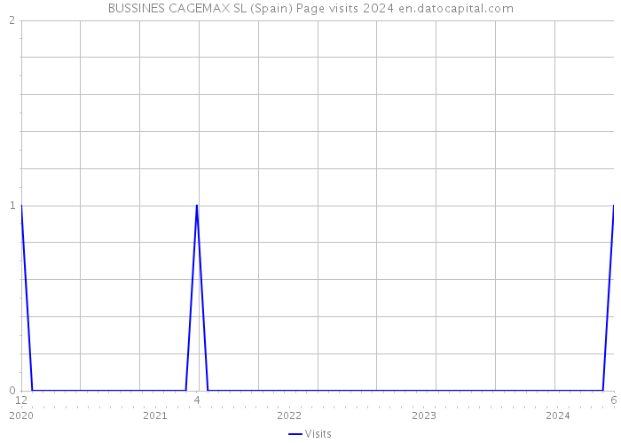 BUSSINES CAGEMAX SL (Spain) Page visits 2024 