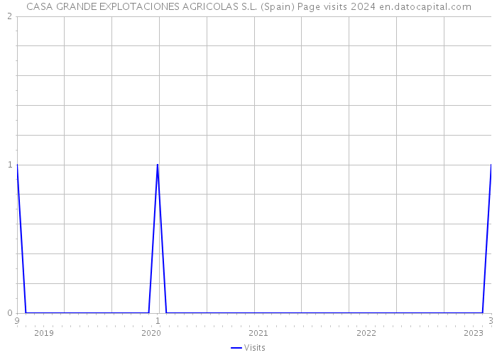 CASA GRANDE EXPLOTACIONES AGRICOLAS S.L. (Spain) Page visits 2024 